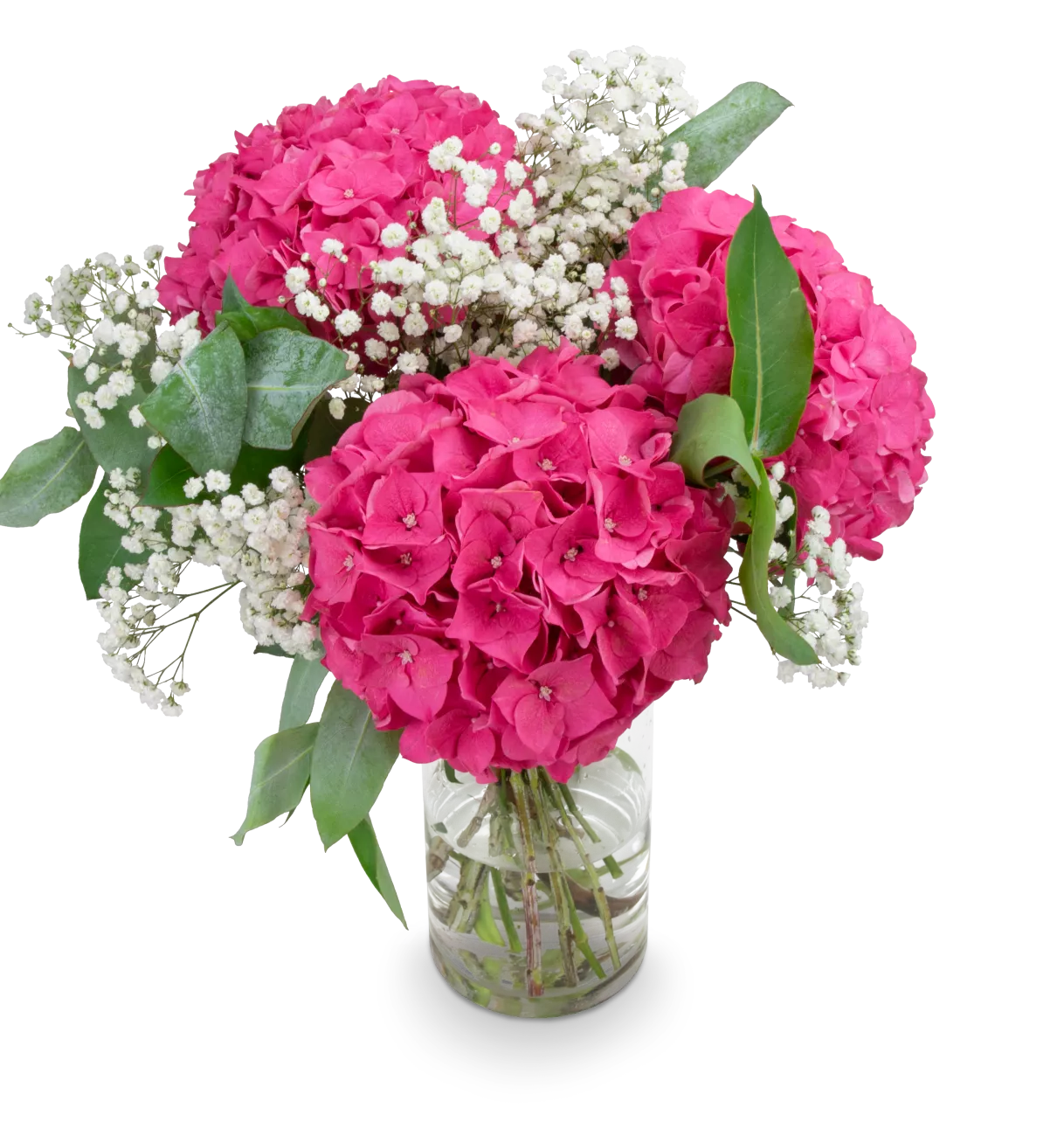 PINK ELEONORA_MALA_IMG_1325_eRGB.png